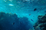 候淅珉：100年内海平面或上升2.5米，南海岛礁岌岌可危